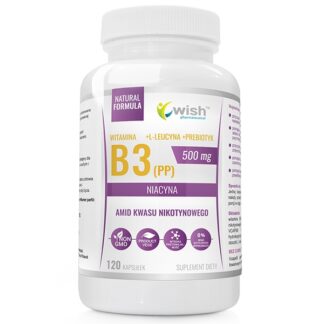 Niacyna Witamina B3 (PP) 500mg + Prebiotyk 120 kapsułek Produkt Vege